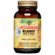 Solgar Bilberry Berry Extract (Солгар Экстракт ягоды черники), 60 капсул