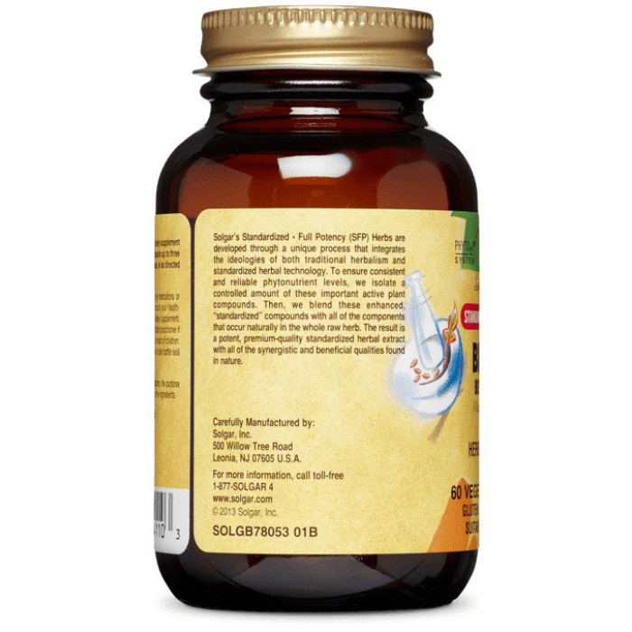 Solgar Bilberry Berry Extract (Солгар Экстракт ягоды черники), 60 капсул