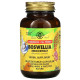 Solgar Boswellia Resin Extract (Солгар Экстракт смолы босвелии), 60 веганских капсул